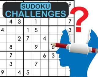 Sudoku Challenges - Game